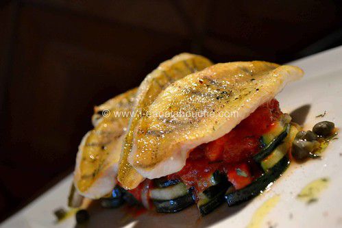 Filets De Perche Sur Concassée De Tomates Et Courgettes Sautées