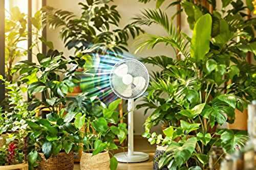 Ces plantes d’intérieur qui adorent le ventilateur (et qui survivent à la canicule)