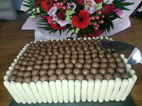 Gâteau d’anniversaire au chocolat, Maltesers et biscuits Finger