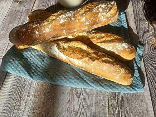 La baguette tradition (levain)