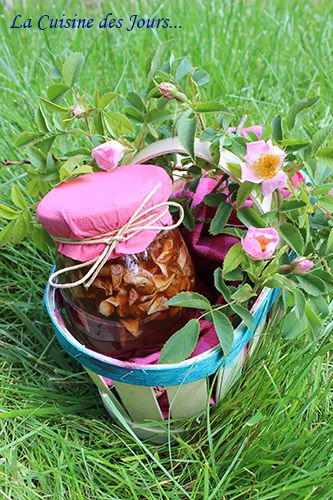 Gelée de Pétales de Fleurs d'Eglantier Express