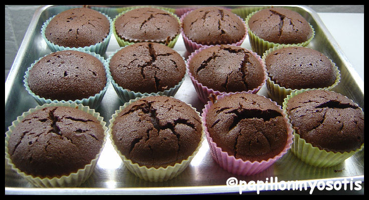 FONDANT AU CHOCOLAT