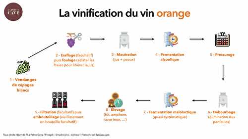 Qu’est-ce que le vin orange ? 🤔