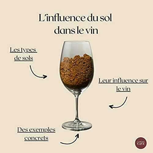 🍷 L’influence du sol dans le vin