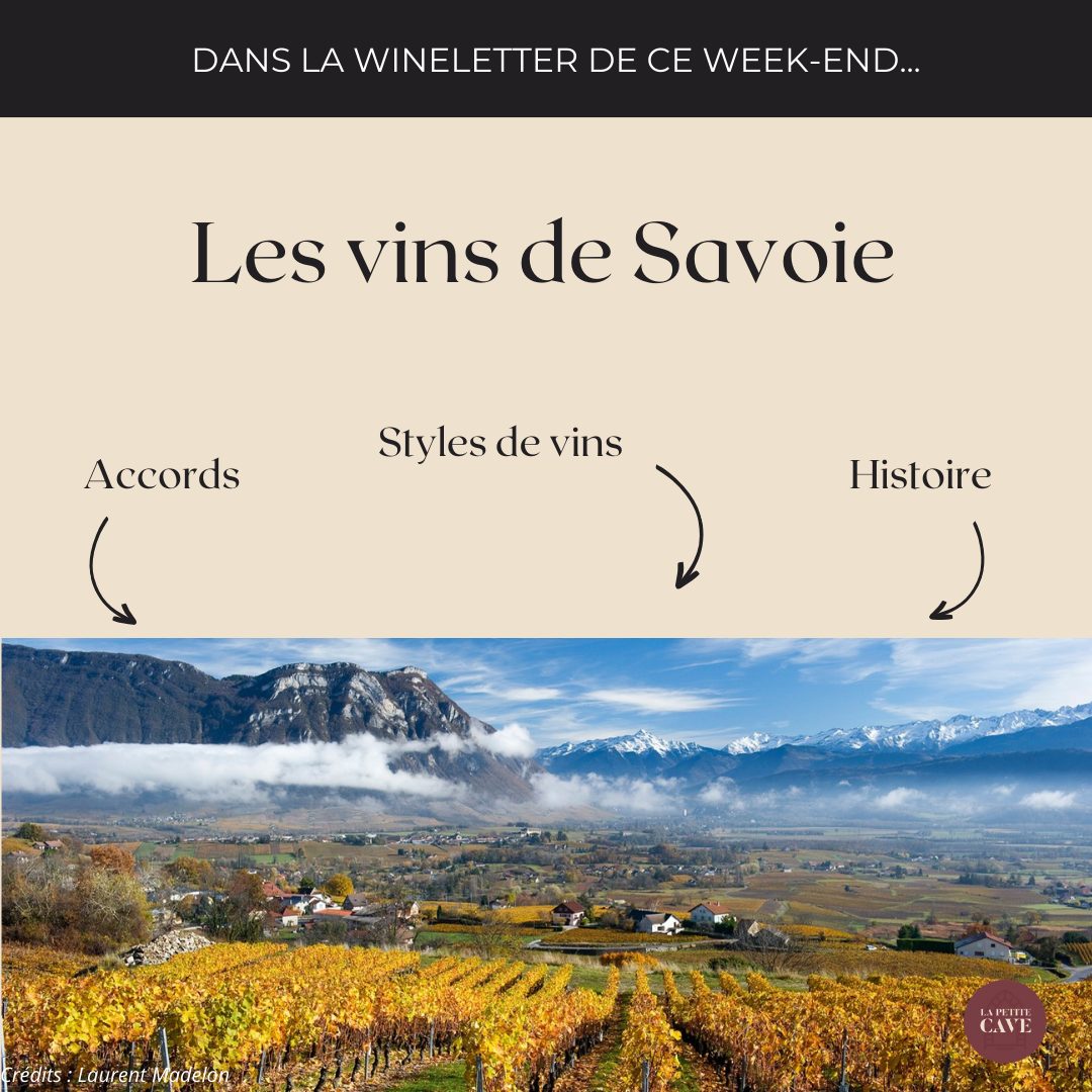 ⛰️ A la découverte des vins de Savoie