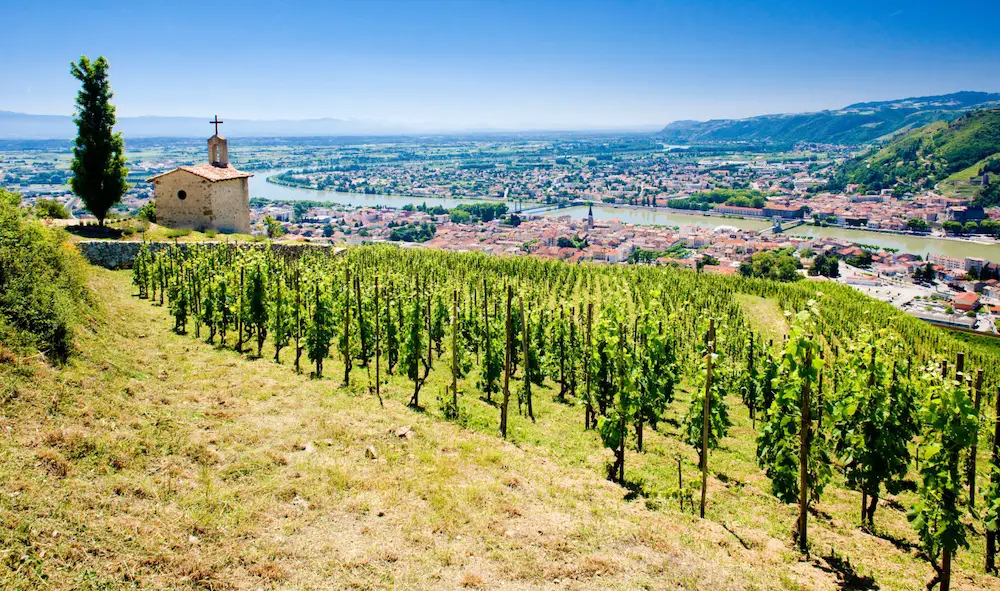 8 choses à savoir sur le vignoble de la Vallée du Rhône