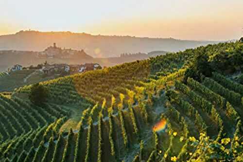 Barolo : 9 choses à savoir sur les vin de l’appellation