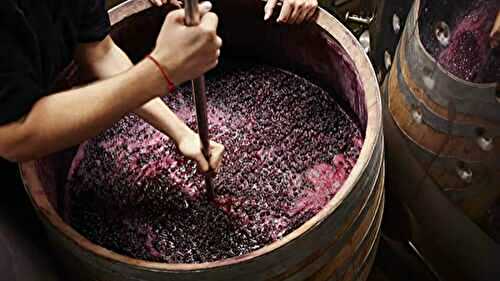 Comprendre les tannins en 8 points