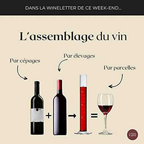 🧪 🍷 L’art de l’assemblage du vin