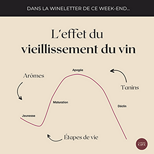 ⏳ Le vieillissement du vin