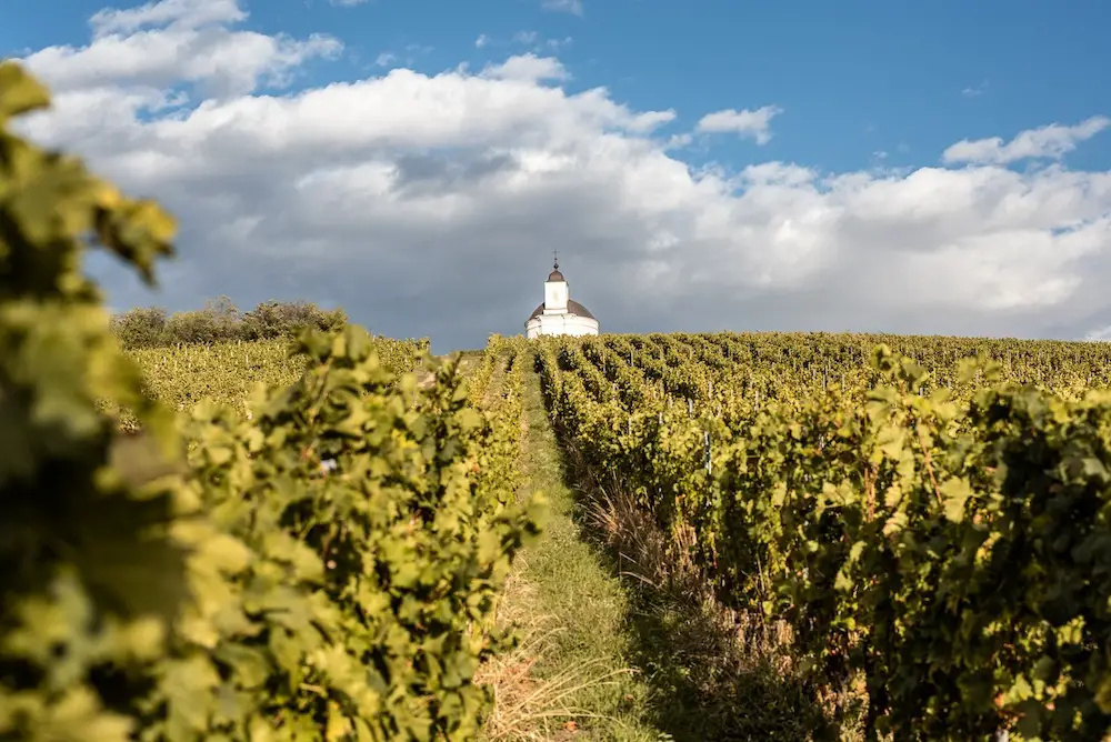 Tokaji : 7 choses à connaitre sur ces vins hongrois