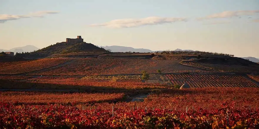 Vins de Rioja : 7 choses à savoir sur cette région d’Espagne