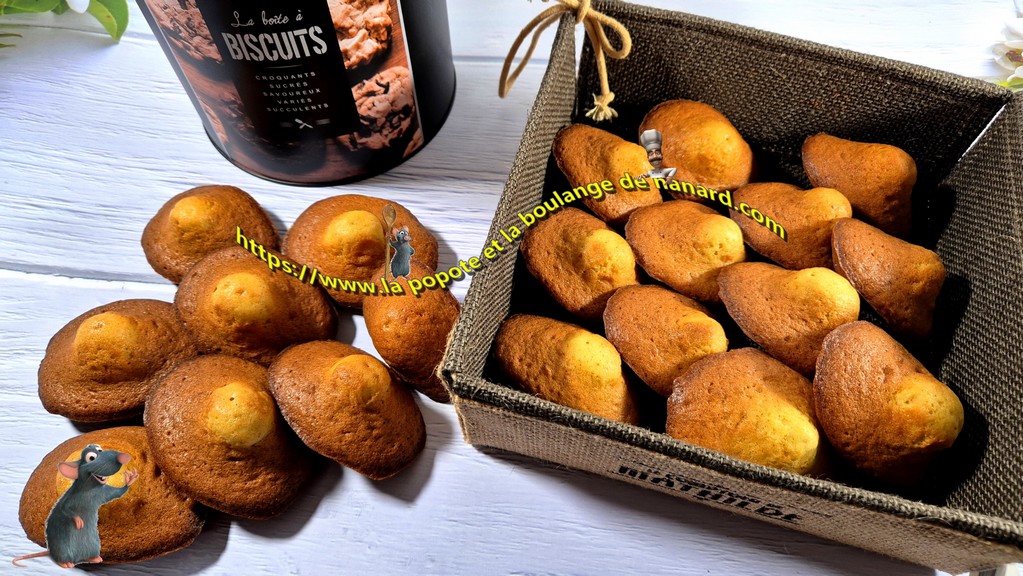 Madeleines au citron