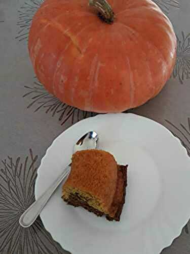 🎃 Un gâteau marbré au potiron et au chocolat !🎃