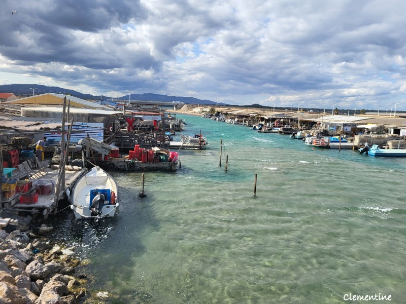 Village des ostréiculteurs à Leucate (Aude) - Le Cul d'Oursin