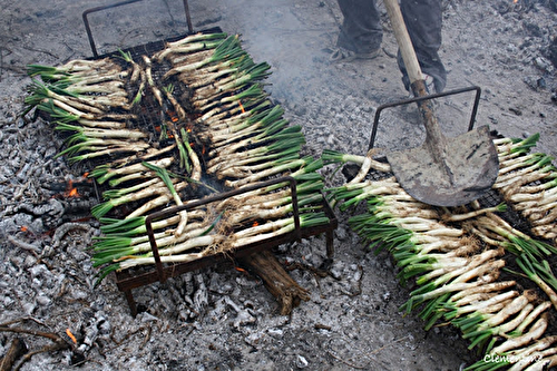 Calçots - une tradition catalane