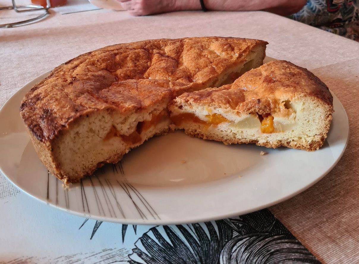 Gâteau basque aux abricots et nectarines