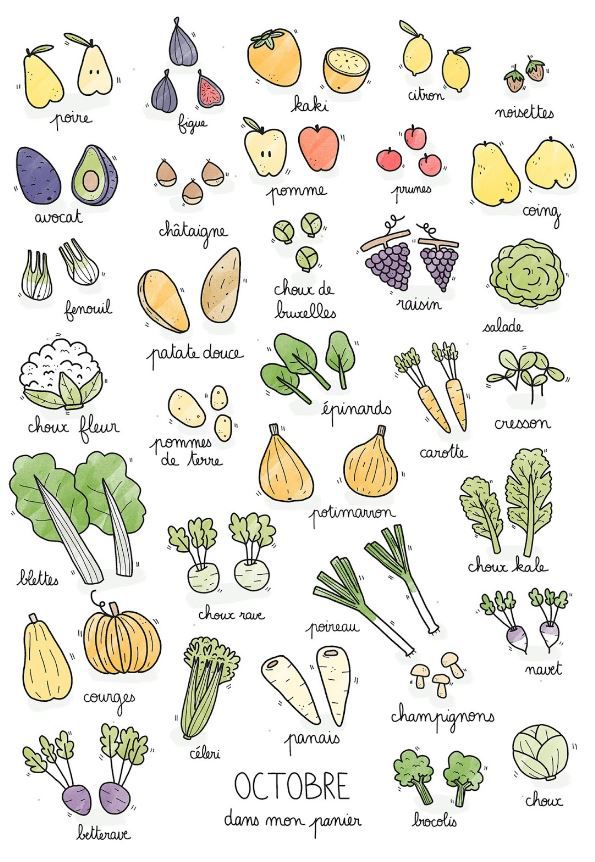 Calendrier des légumes et fruits de saison du mois d’octobre