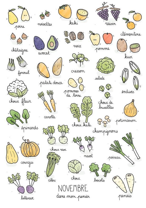 Calendrier des légumes et fruits de saison du mois de novembre