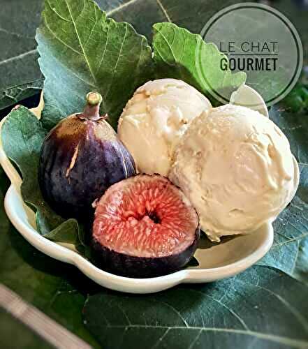 Glace au miel et à la feuille de figuier de David Lebovitz 