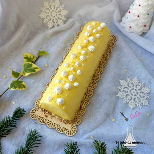 Bûche de Noël 2014: Litchis insert mousseux Framboise – Mes p'tites  recettes de cuisine
