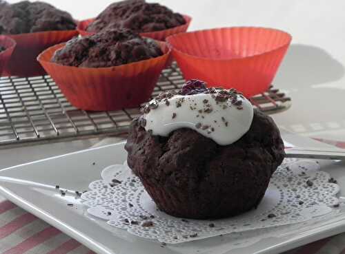 Cupcakes double chocolat et canneberges, sans gluten et sans lactose