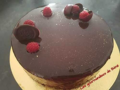 Entremet chocolat/framboises