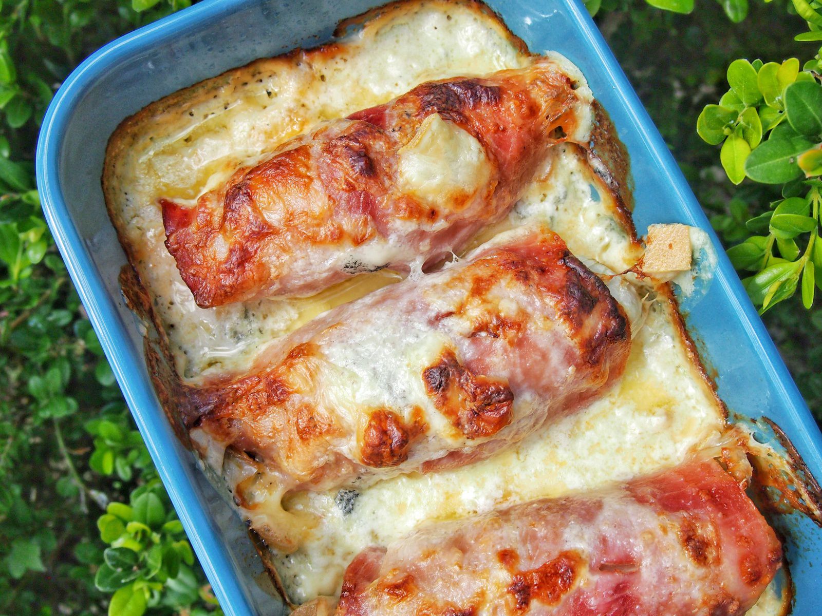 Endives gratinées au jambon et au morbier