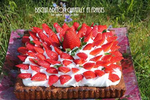 Biscuit breton chantilly et fraises
