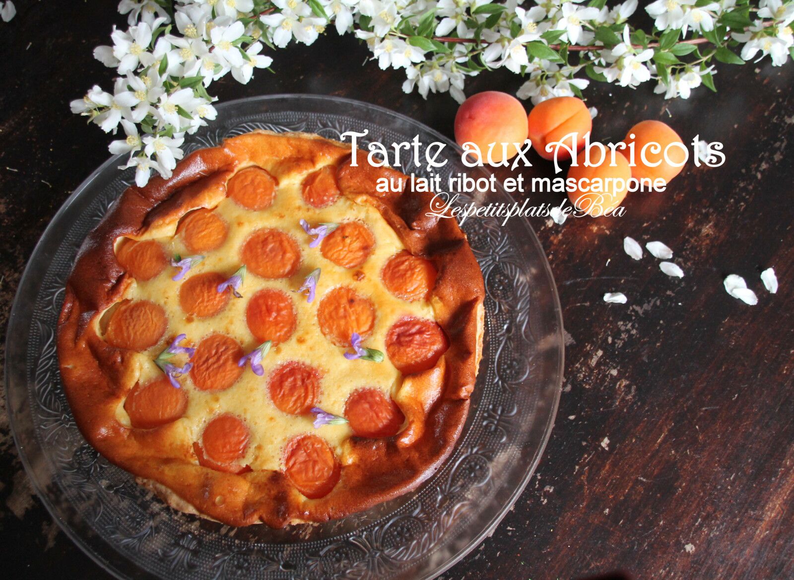 Tarte aux abricots, lait ribot et mascarpone