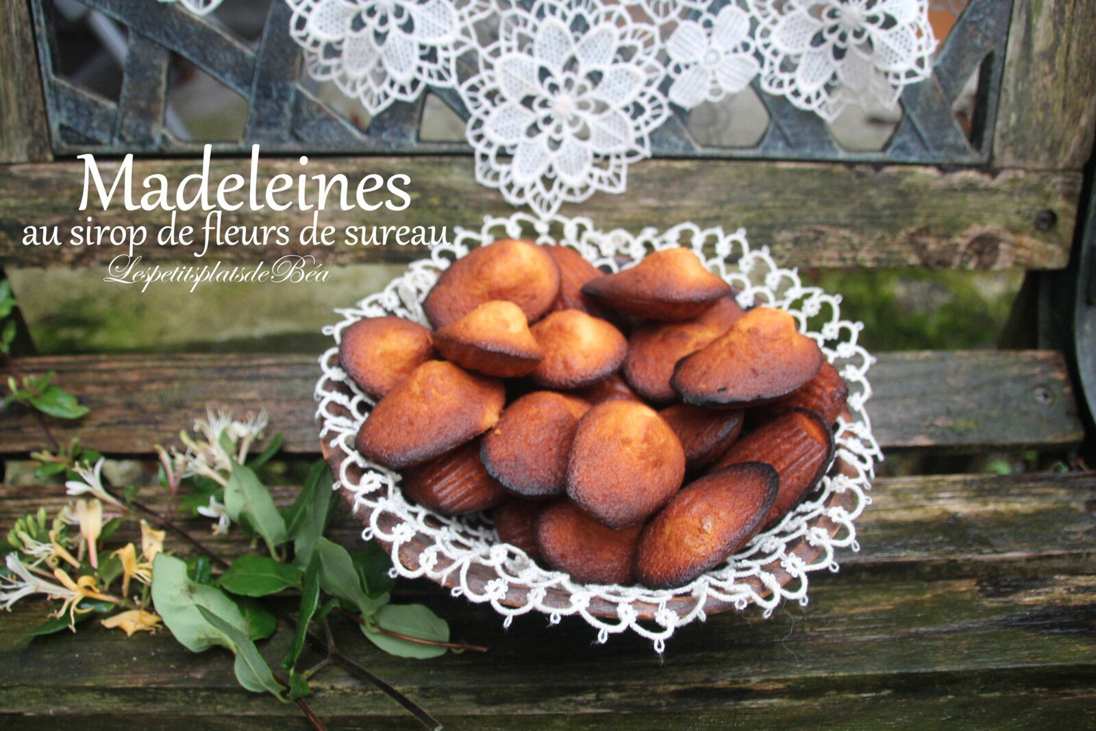 Madeleines au sirop de fleur de sureau