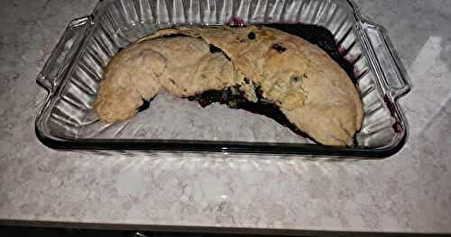 PETS AUX BLEUETS (STYLE PETS DE SOEURS ROULÉS ENTIERS)