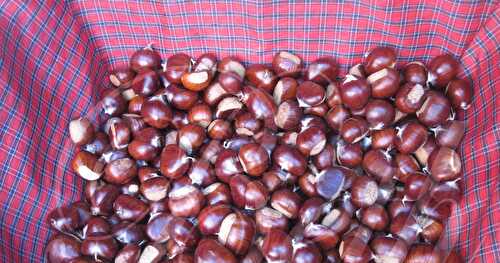 Ramassage Des Chataignes au Bois Clamart / Apanha Das Castanhas no Bosque de Clamart