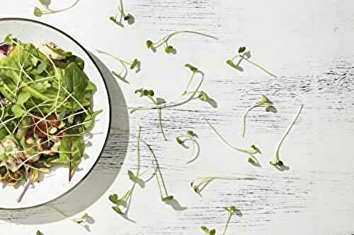 ➤ Les graines germées : un trésor nutritionnel à faire pousser chez soi🌱