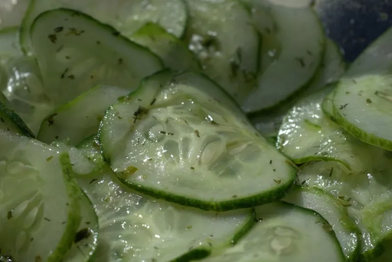 Recette de salade fraîche aux concombres et à la coriandre