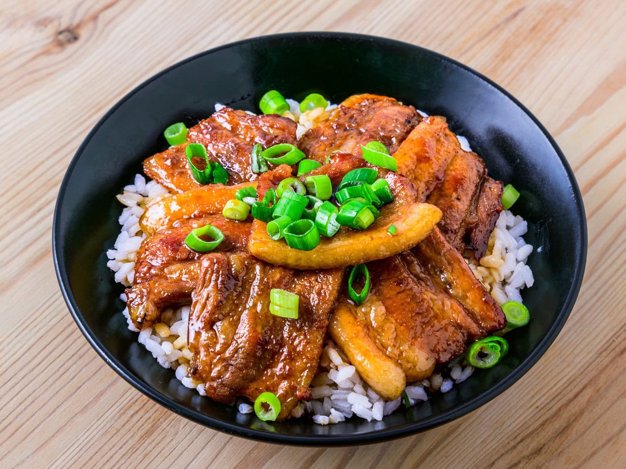 Authentique Tokashi Butadon - Donburi de Porc