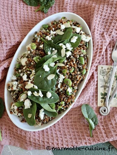 Salade de petit épeautre aux lentilles et à la feta, pesto à la menthe (Un légume, trois recettes)