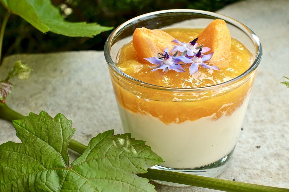 Verrine fromage blanc et abricot