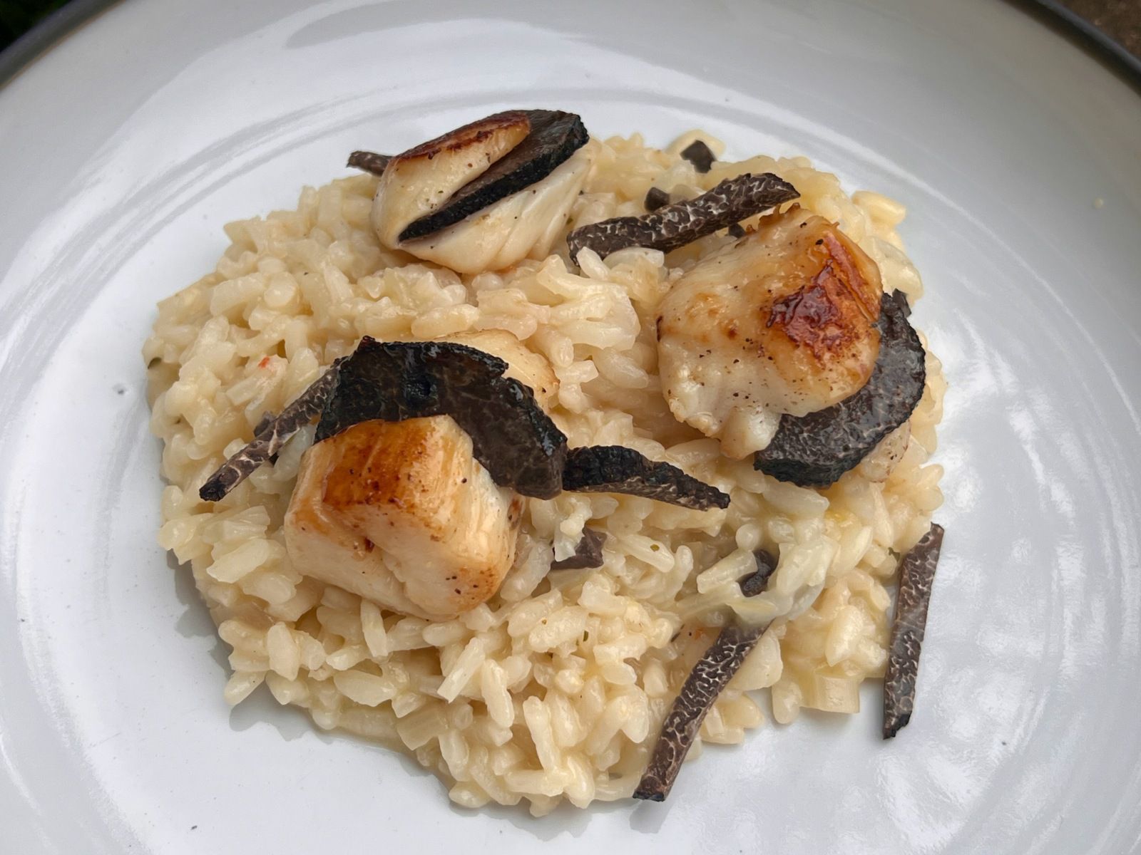 Risotto à la truffe et st Jacques 