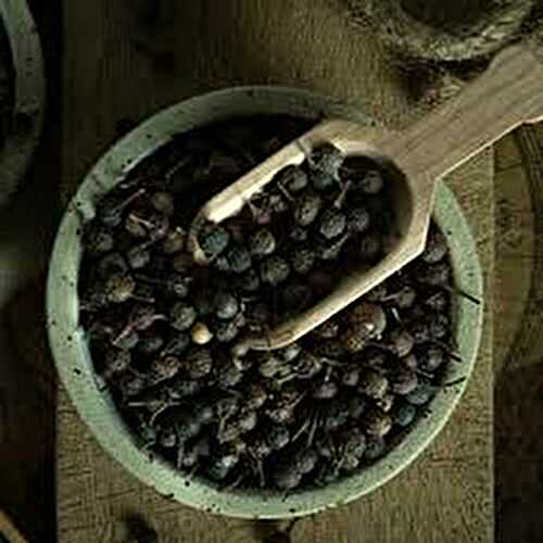 Zoom sur le poivre cubèbe