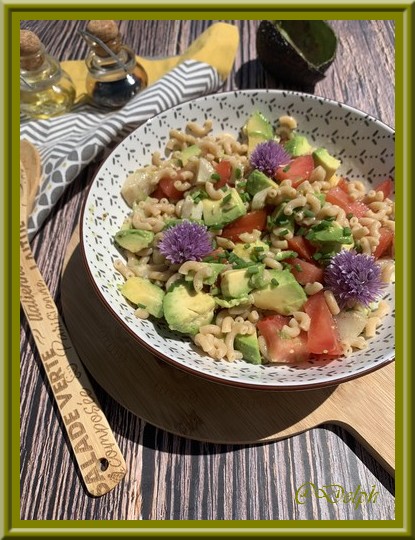 Salade de coquillettes