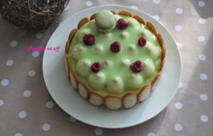 Entremets pistache, vanille et framboises au thermomix ou sans