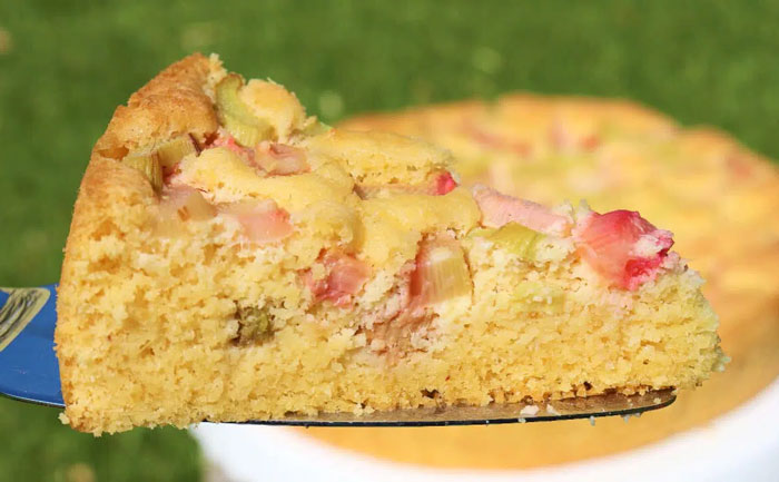 Gâteau à la Rhubarbe Allégé Sans Sucre