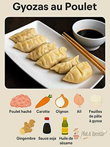Gyozas au Poulet