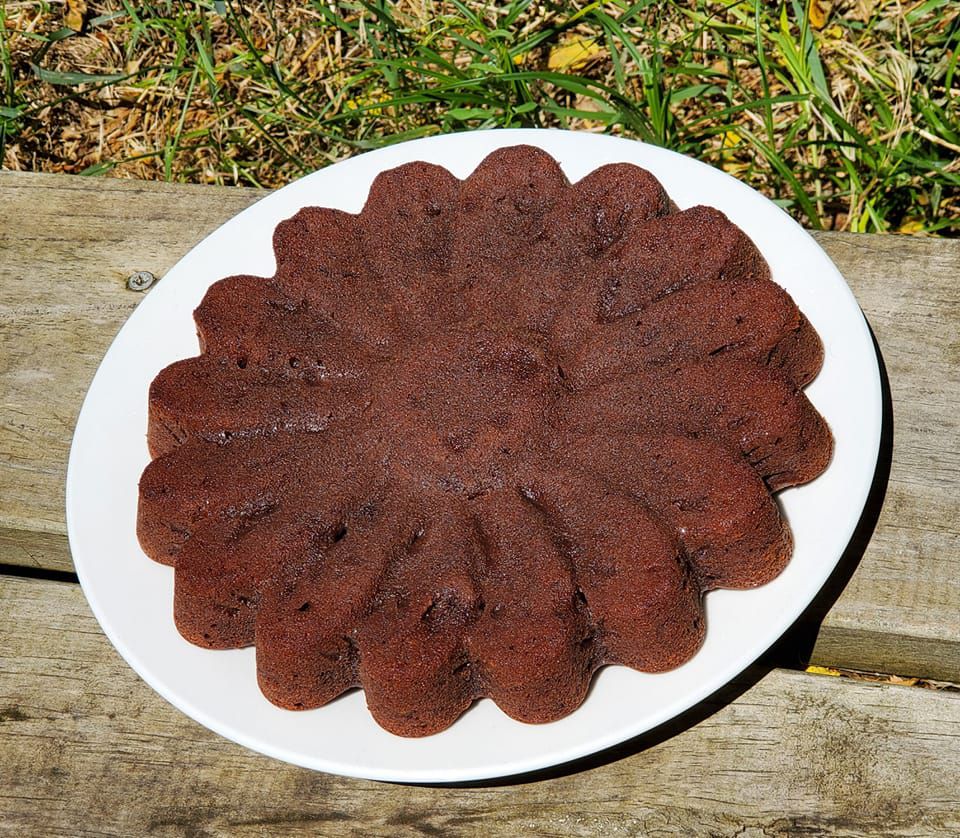 Gâteau au chocolat et à la compote