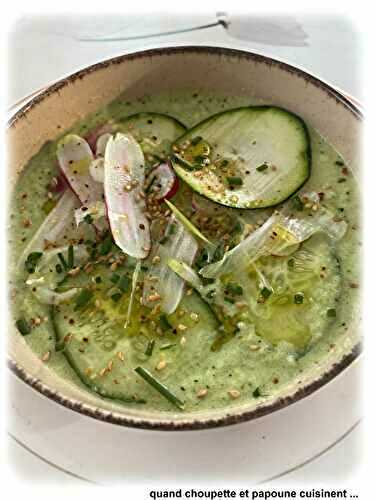 GASPACHO VERT