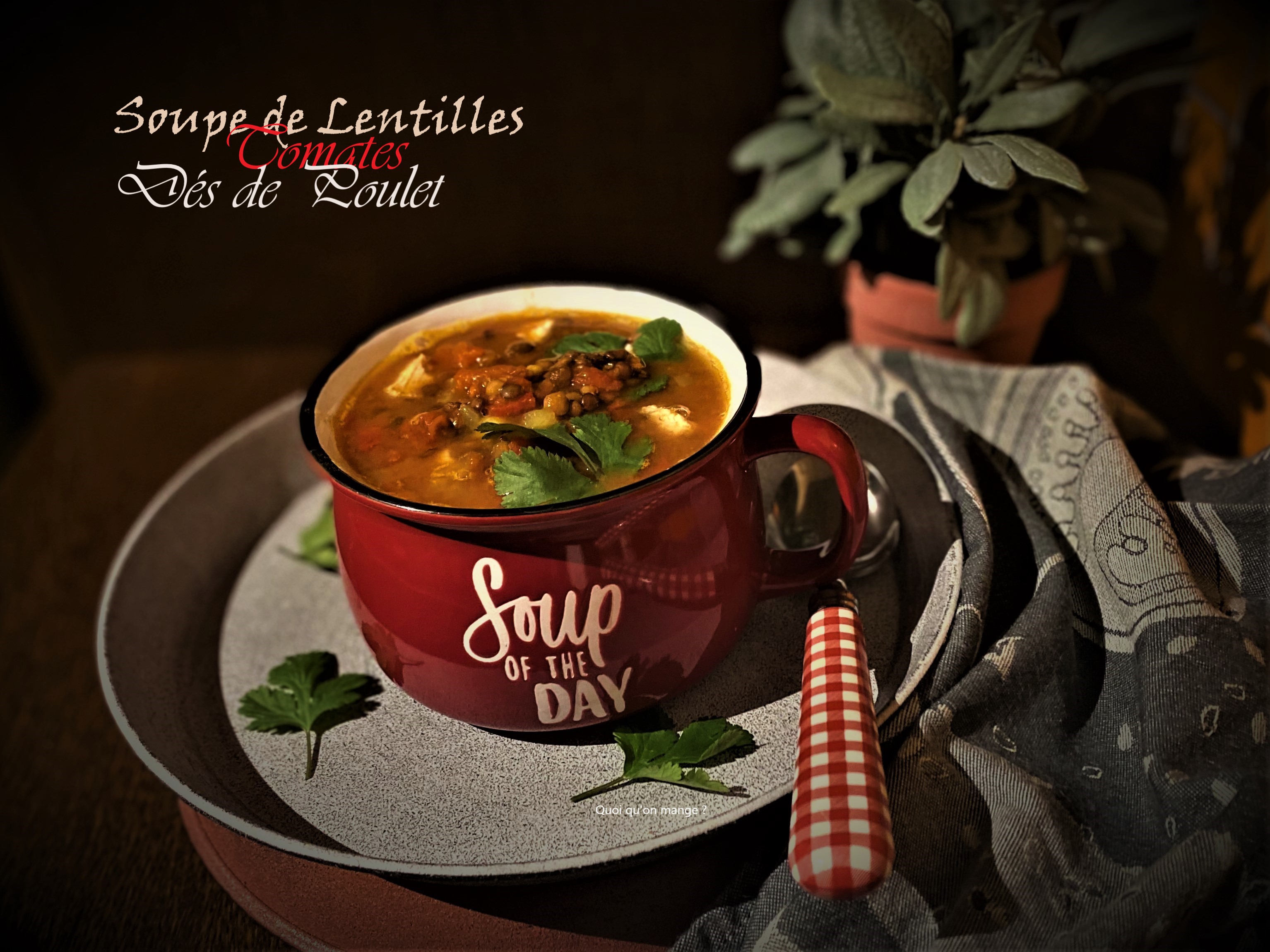 Soupe de lentilles au poulet