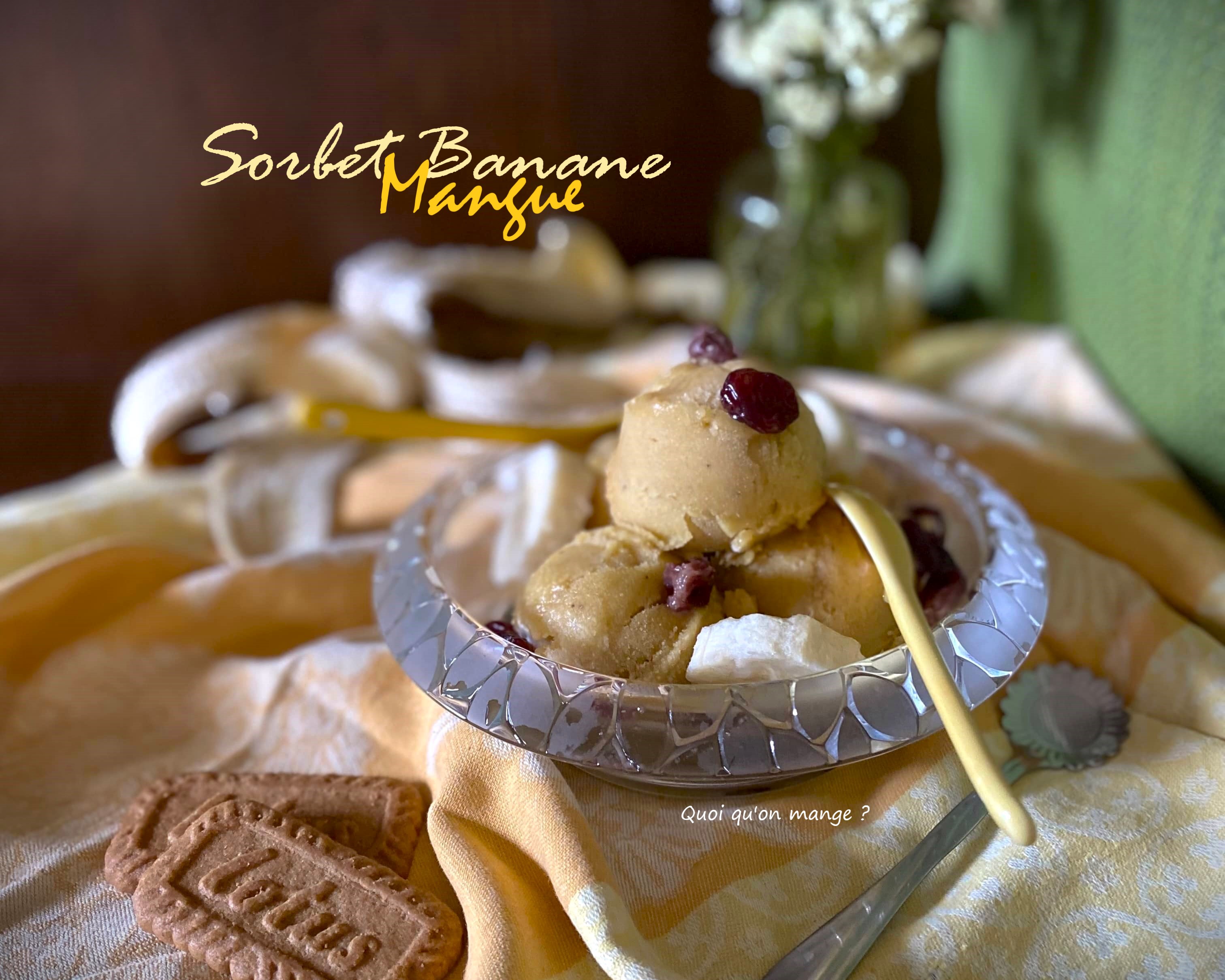 Sorbet Banane et Mangue : une recette rafraichissante sans lactose