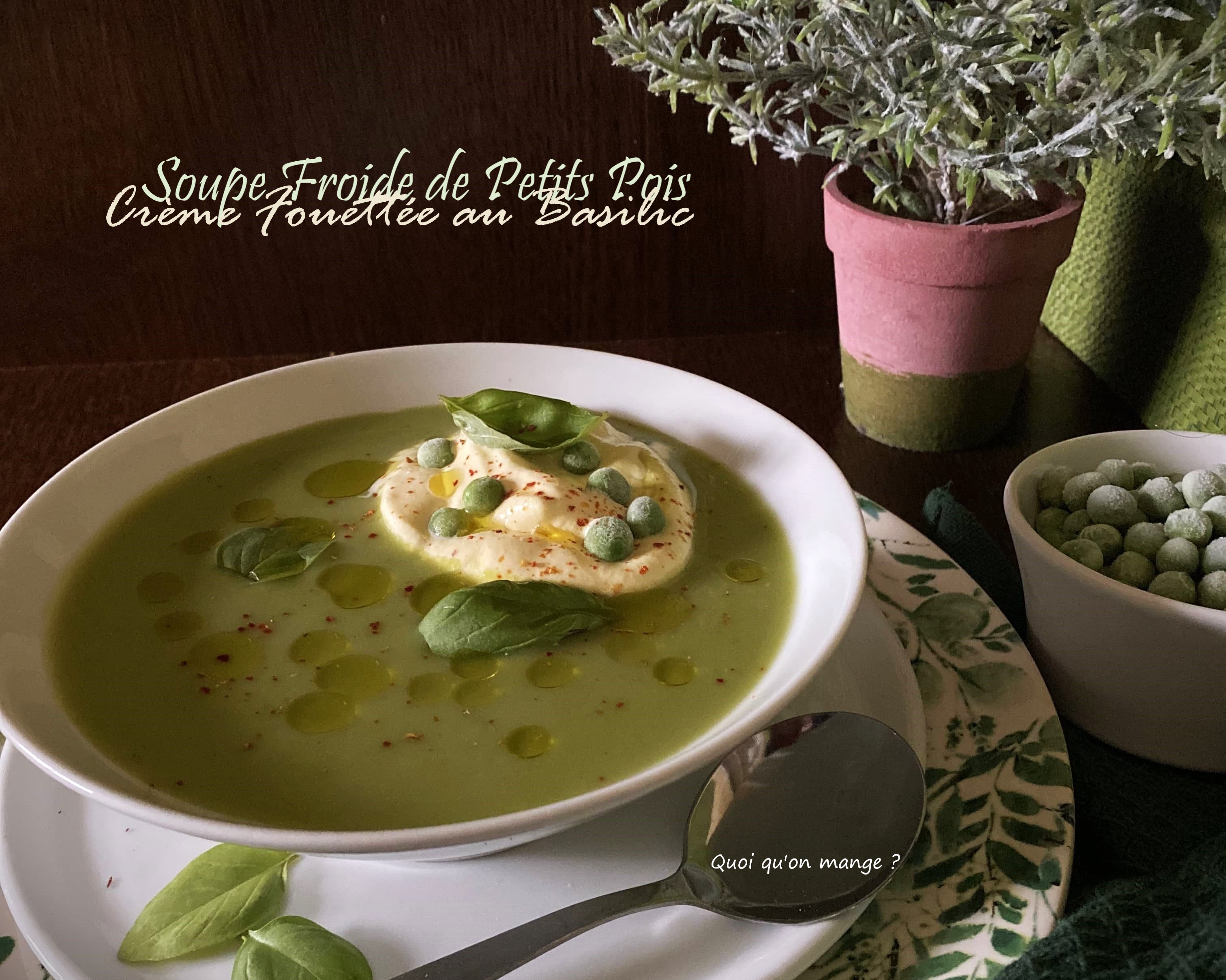 Soupe froide de petits pois – crème fouettée au basilic