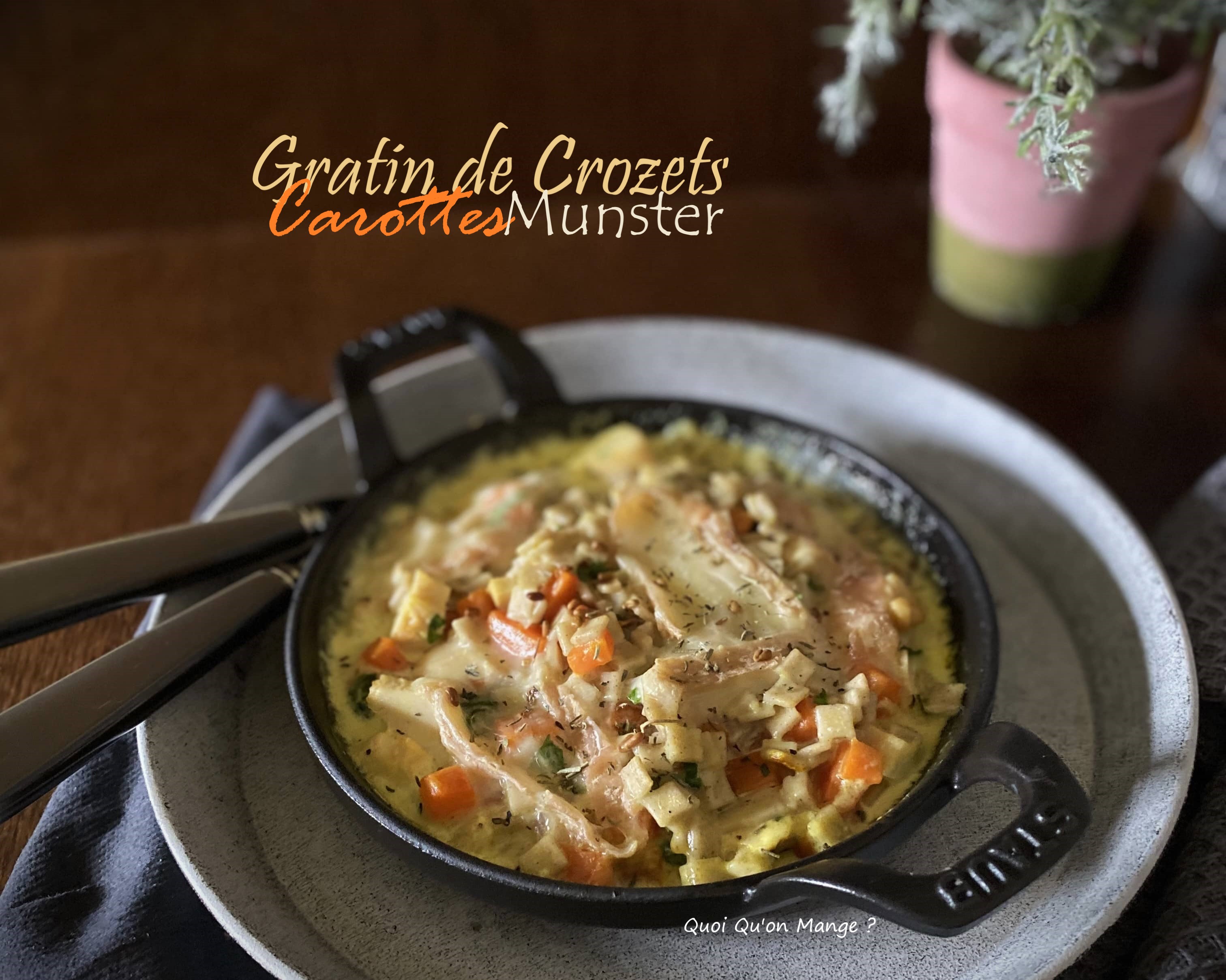 Gratin de Crozets et carottes – sauce fromagère